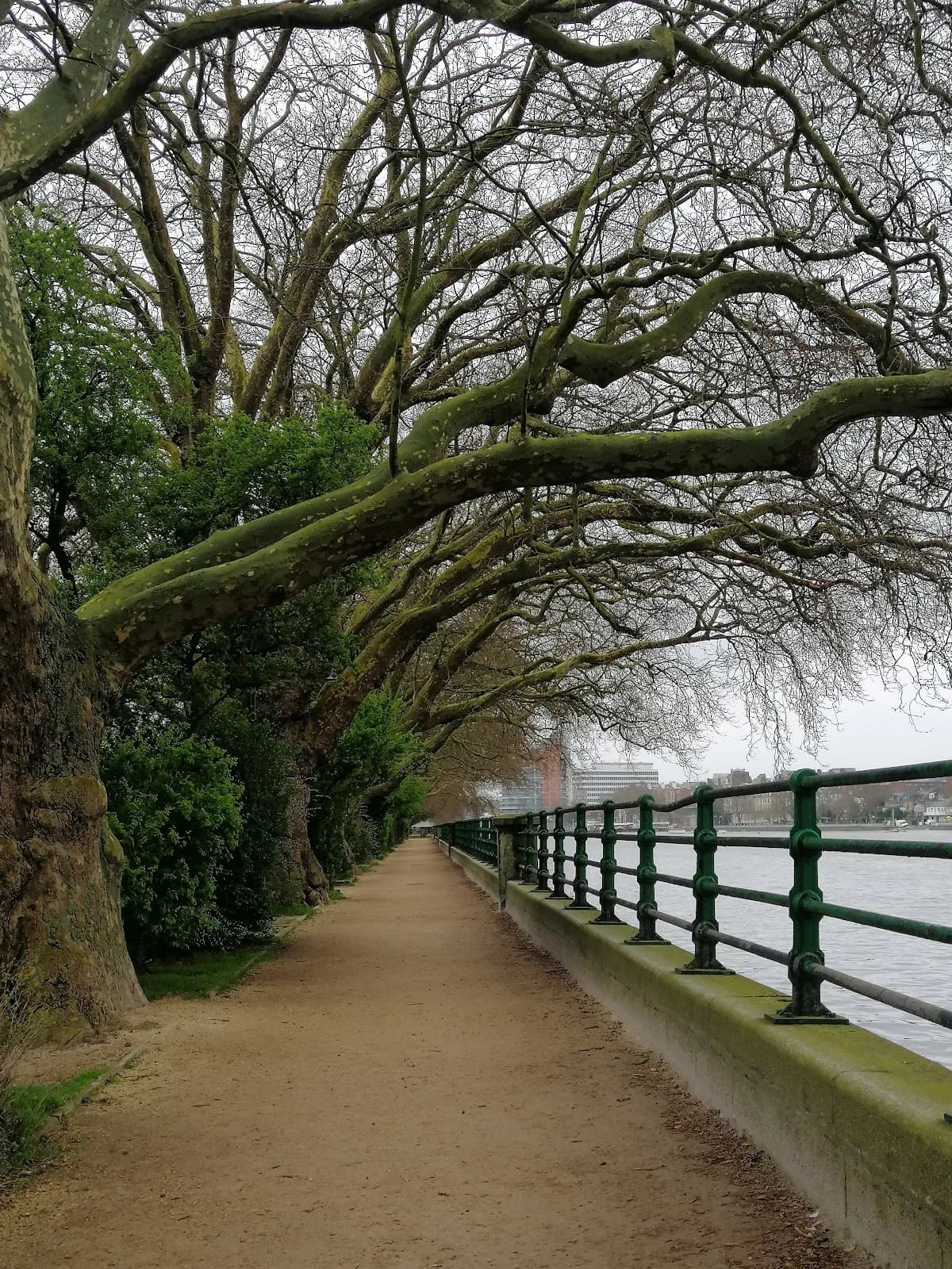 Bishop's Park