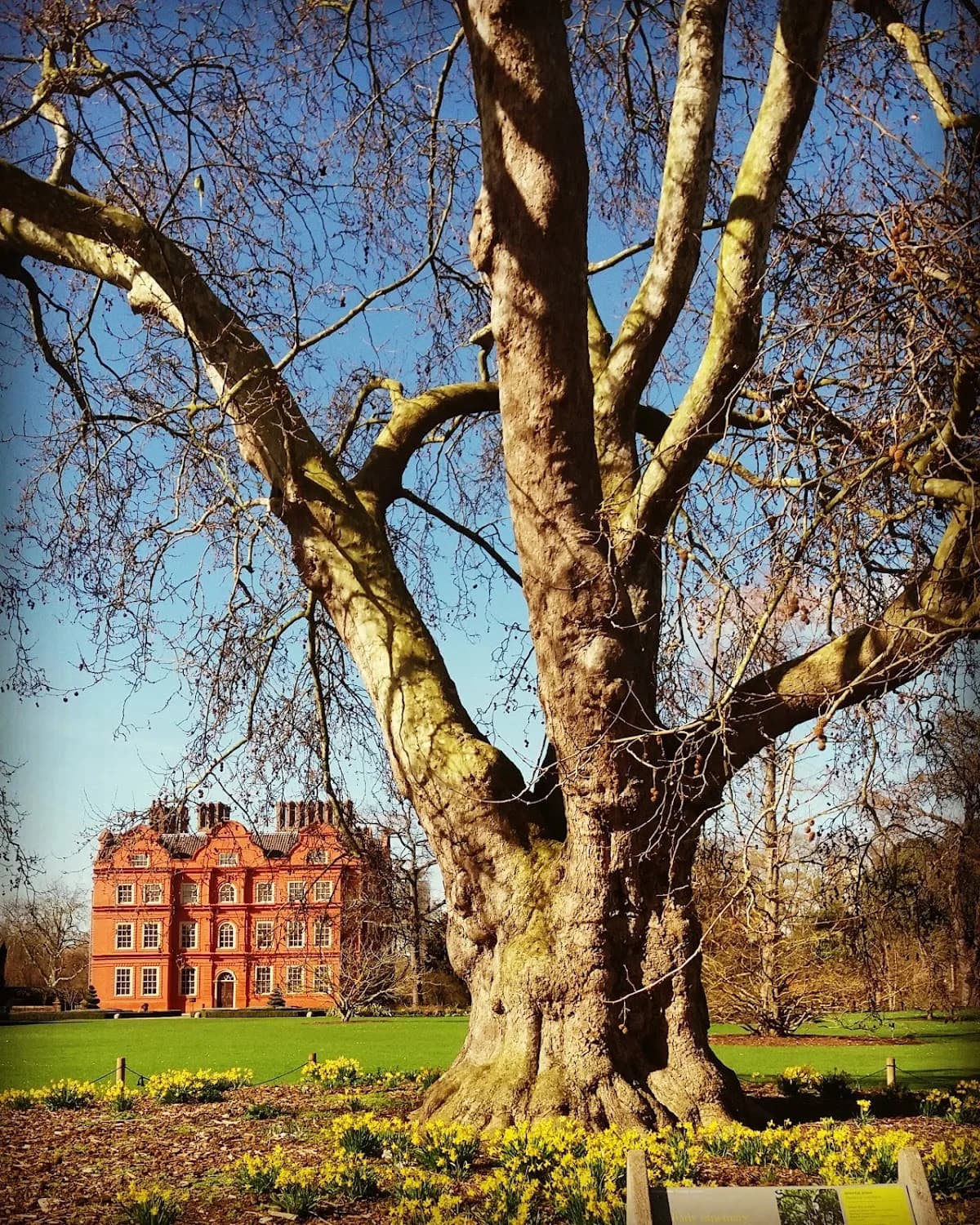 Parsons Green
