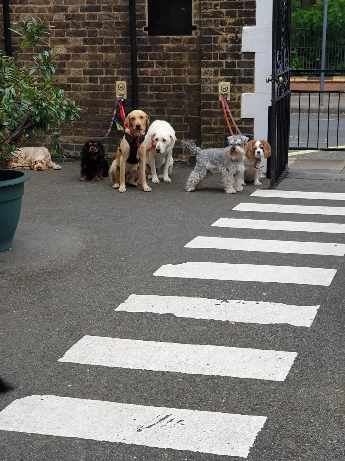 Thomas's Fulham photo 1